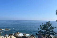 “죽도산 오션뷰 풍경이 360도?”… 사진작가들 몰리는 8월 영덕 포토존