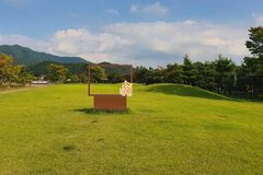 “서울 단풍지 부럽지 않은 갈대 바다”… 9월 커플 스냅 사진 필수 스팟