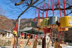 “입장료 0원에 이런 숲길이?”… 부모님도 ‘감탄’한 9월 부안 여행지