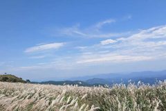 “800m 고지에 은빛 억새 바다가?”… 커플들 ‘환호’한 가을 9월 명소