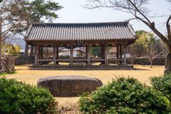 “제주도인 줄 알았는데 대구라고?”… 부모님 모시고 가기 딱 좋은 10월 군위 명소