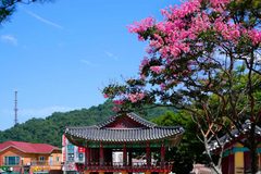 “비싼 수목원 갈 이유 없다”… 아이랑 무료로 즐기는 정읍 당일치기 코스