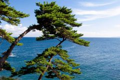 “경주 오면 황리단길만 가는 줄 알았는데”… 커플들 10월 데이트 코스 1위로 꼽은 이 공간